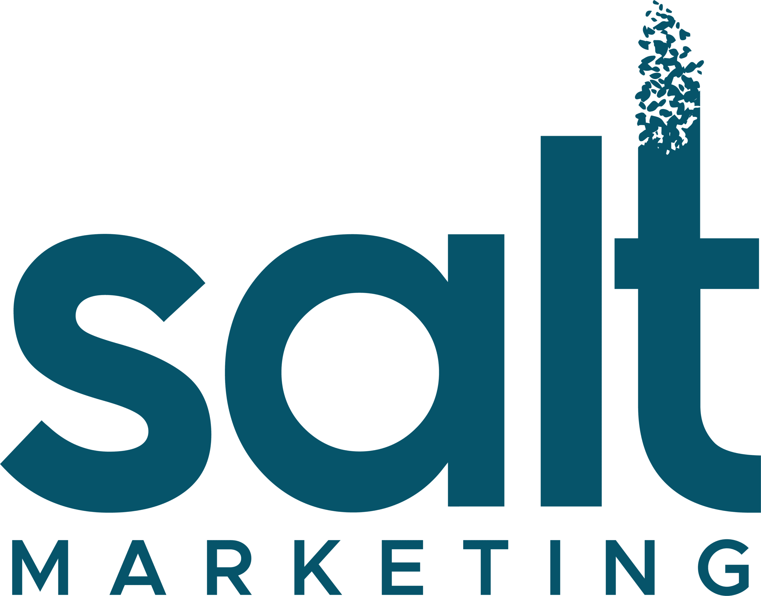 salt marketing logo