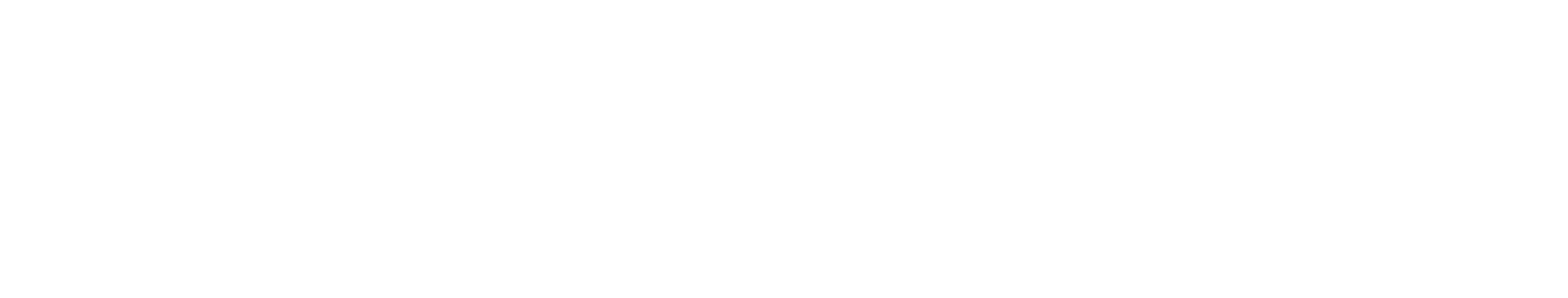 salt marketing logo wordmark