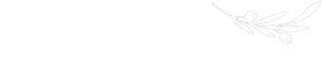 Being functional wellness brand logo